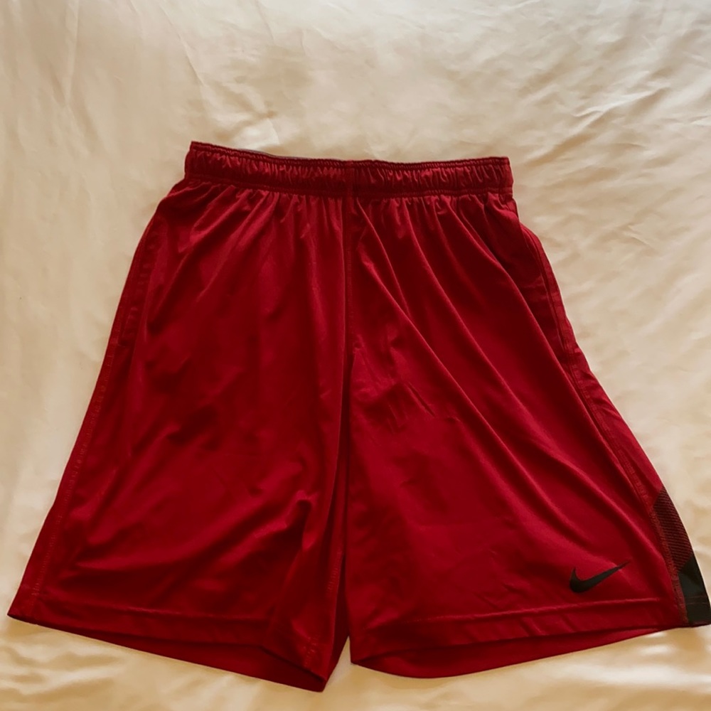 EUC Nike Men’s Shorts